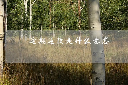 逾期退款是什么意思 逾期退款是什么意思