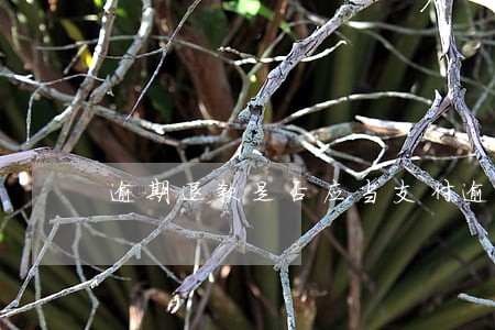 逾期退款是否应当支付逾期利息 逾期退款是否应当支付逾期利息
