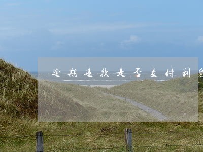 逾期退款是否支付利息 逾期退款是否支付利息