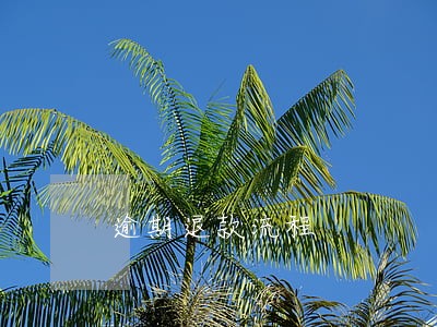 逾期退款流程 逾期退款流程