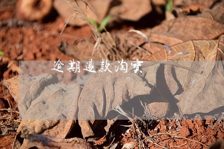 逾期退款淘宝 逾期退款淘宝