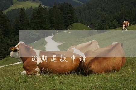 逾期退款申请 逾期退款申请