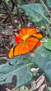 逾期退款要退货吗 逾期退款要退货吗