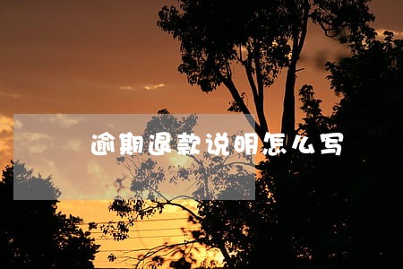 逾期退款说明怎么写