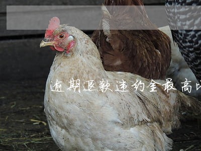 逾期退款违约金最高比例 逾期退款违约金最高比例