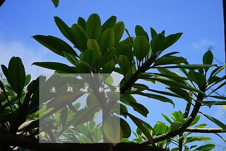 逾期退款通知
