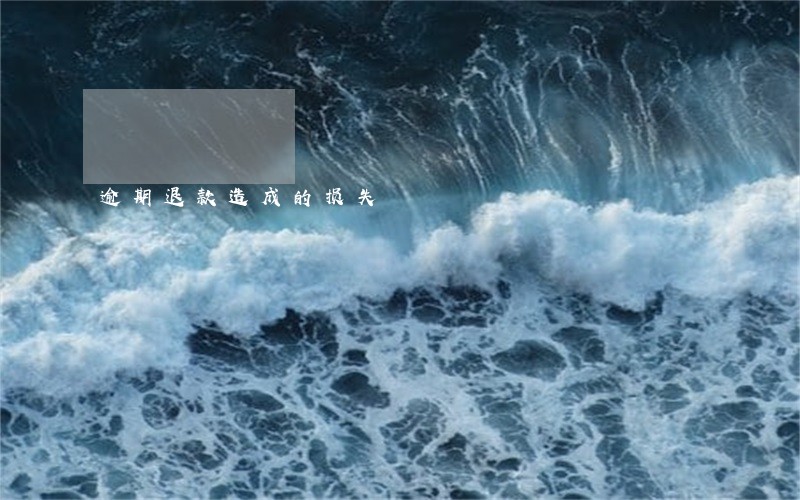 逾期退款造成的损失 逾期退款造成的损失