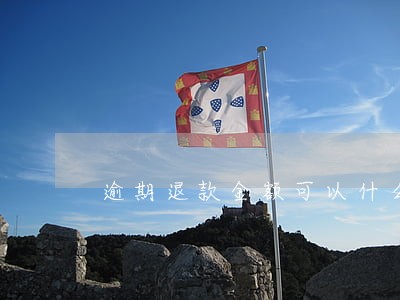 逾期退款金额可以什么时候查询 逾期退款金额可以什么时候查询