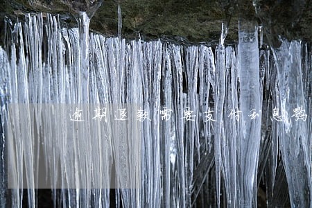 逾期退款需要支付利息嘛 逾期退款需要支付利息嘛