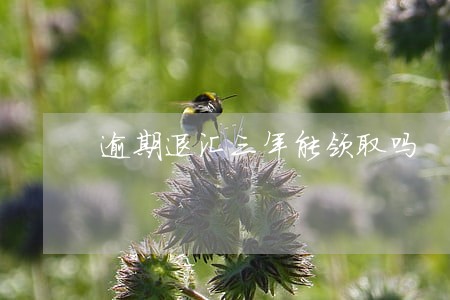逾期退汇三年能领取吗 逾期退汇三年能领取吗