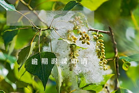 逾期退课申请 逾期退课申请
