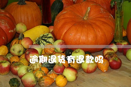 逾期退货有退款吗 逾期退货有退款吗