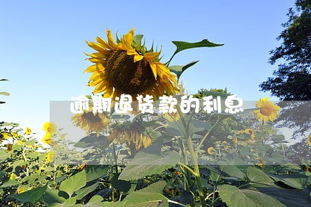 逾期退货款的利息 逾期退货款的利息