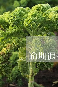 逾期退费平台 逾期退费平台