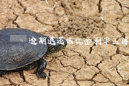 逾期退还保证金利率上浮 逾期退还保证金利率上浮