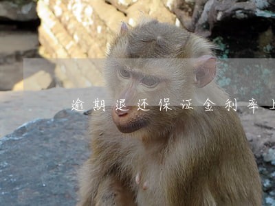 逾期退还保证金利率上浮多少 逾期退还保证金利率上浮多少