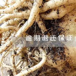 逾期退还保证金房屋租赁 逾期退还保证金房屋租赁
