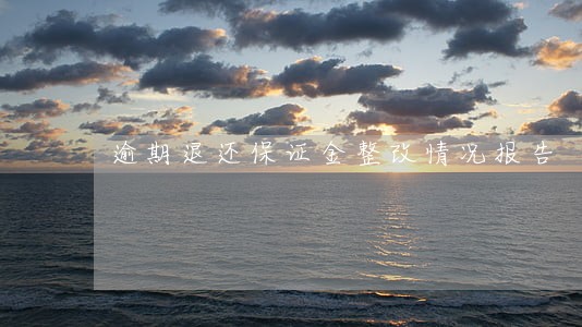 逾期退还保证金整改情况报告 逾期退还保证金整改情况报告