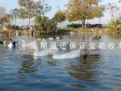 逾期退还保证金能收滞纳金吗 逾期退还保证金能收滞纳金吗