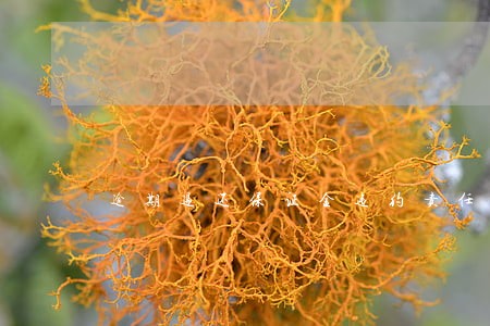 逾期退还保证金违约责任 逾期退还保证金违约责任