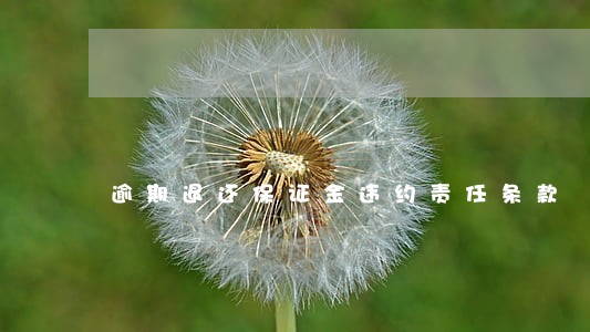 逾期退还保证金违约责任条款 逾期退还保证金违约责任条款