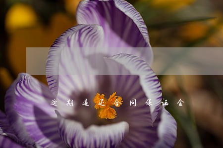 逾期退还合同保证金 逾期退还合同保证金