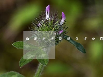 逾期退还投标保证金商贷利率 逾期退还投标保证金商贷利率