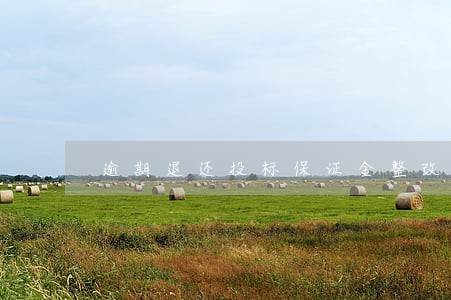 逾期退还投标保证金整改报告 逾期退还投标保证金整改报告