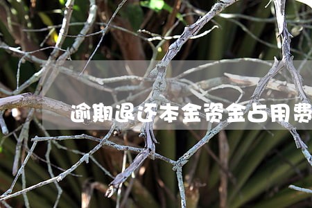 逾期退还本金资金占用费 逾期退还本金资金占用费