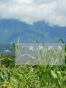 逾期退还款项违约金 逾期退还款项违约金