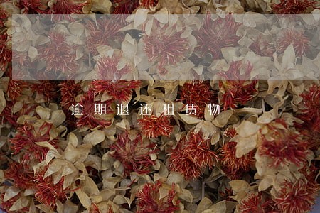 逾期退还租赁物 逾期退还租赁物