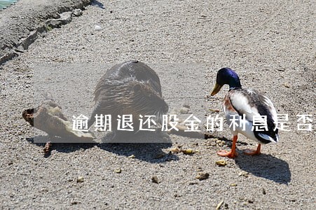 逾期退还股金的利息是否支持 逾期退还股金的利息是否支持