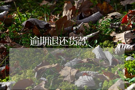 逾期退还货款 逾期退还货款