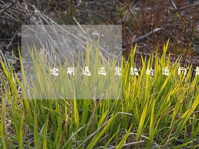 逾期退还货款的违约责任 逾期退还货款的违约责任