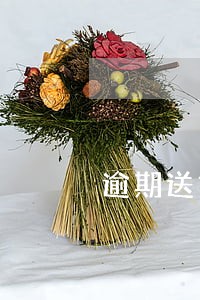 逾期送货没有合同 逾期送货没有合同