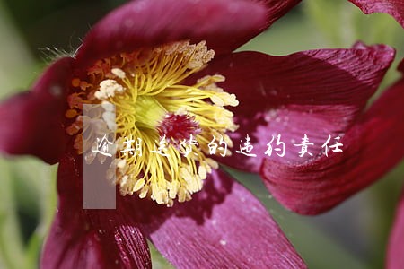 逾期送货的违约责任 逾期送货的违约责任