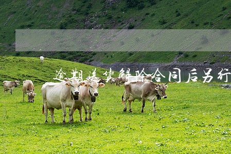 逾期送货解除合同后另行采购 逾期送货解除合同后另行采购