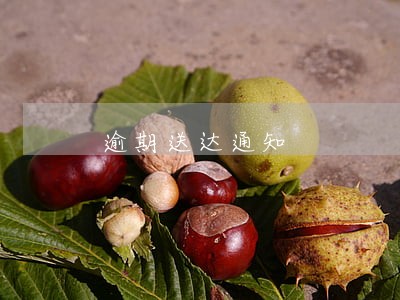 逾期送达通知 逾期送达通知