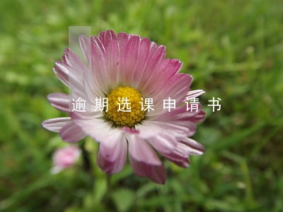 逾期选课申请书