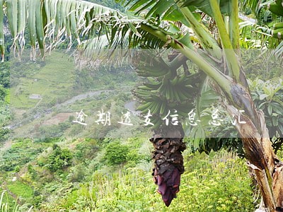 逾期透支信息总汇 逾期透支信息总汇