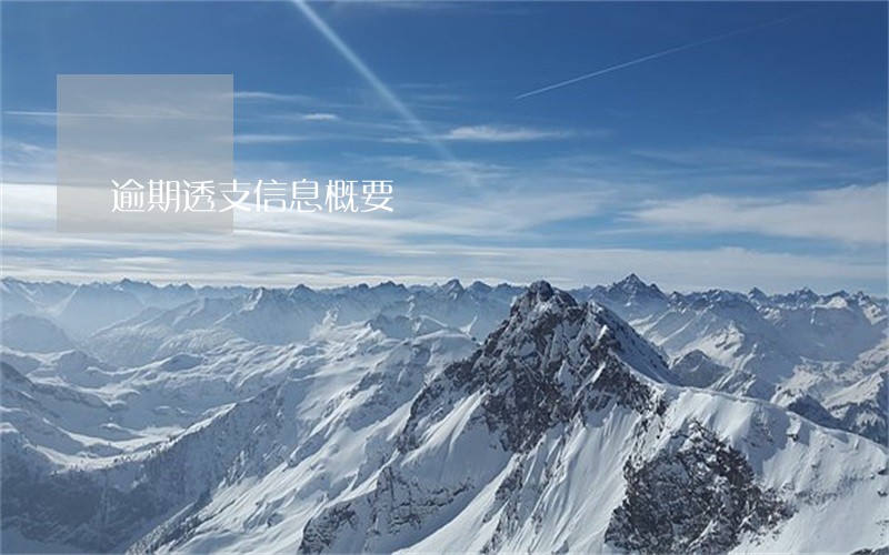 逾期透支信息概要 逾期透支信息概要