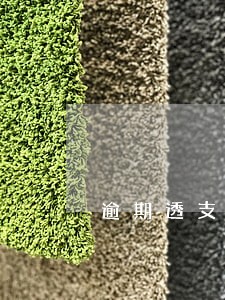 逾期透支信息汇总中的评级d 逾期透支信息汇总中的评级d