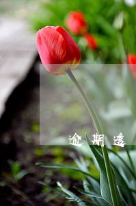 逾期透支信息汇总主要反映 逾期透支信息汇总主要反映