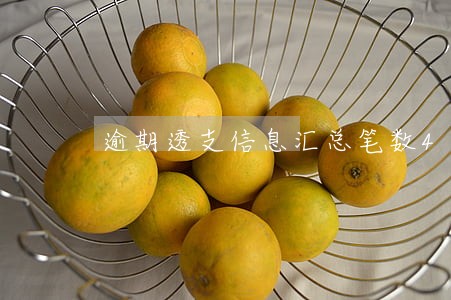 逾期透支信息汇总笔数4 逾期透支信息汇总笔数4