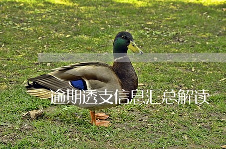 逾期透支信息汇总解读 逾期透支信息汇总解读