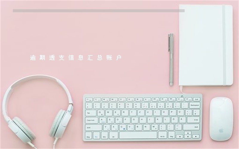 逾期透支信息汇总账户 逾期透支信息汇总账户