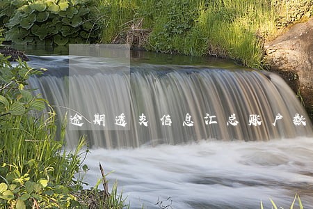 逾期透支信息汇总账户数 逾期透支信息汇总账户数