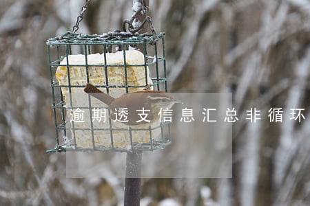 逾期透支信息汇总非循环账户 逾期透支信息汇总非循环账户