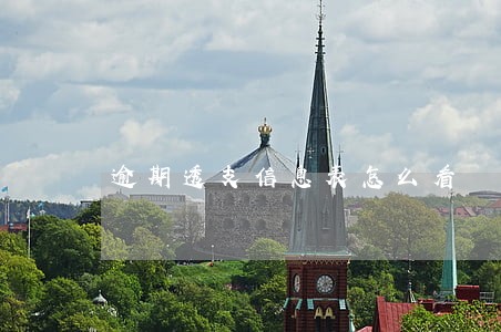 逾期透支信息表怎么看 逾期透支信息表怎么看