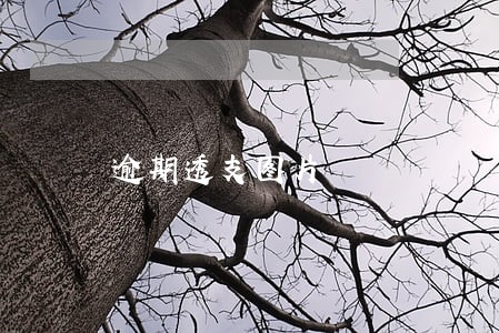 逾期透支图片 逾期透支图片